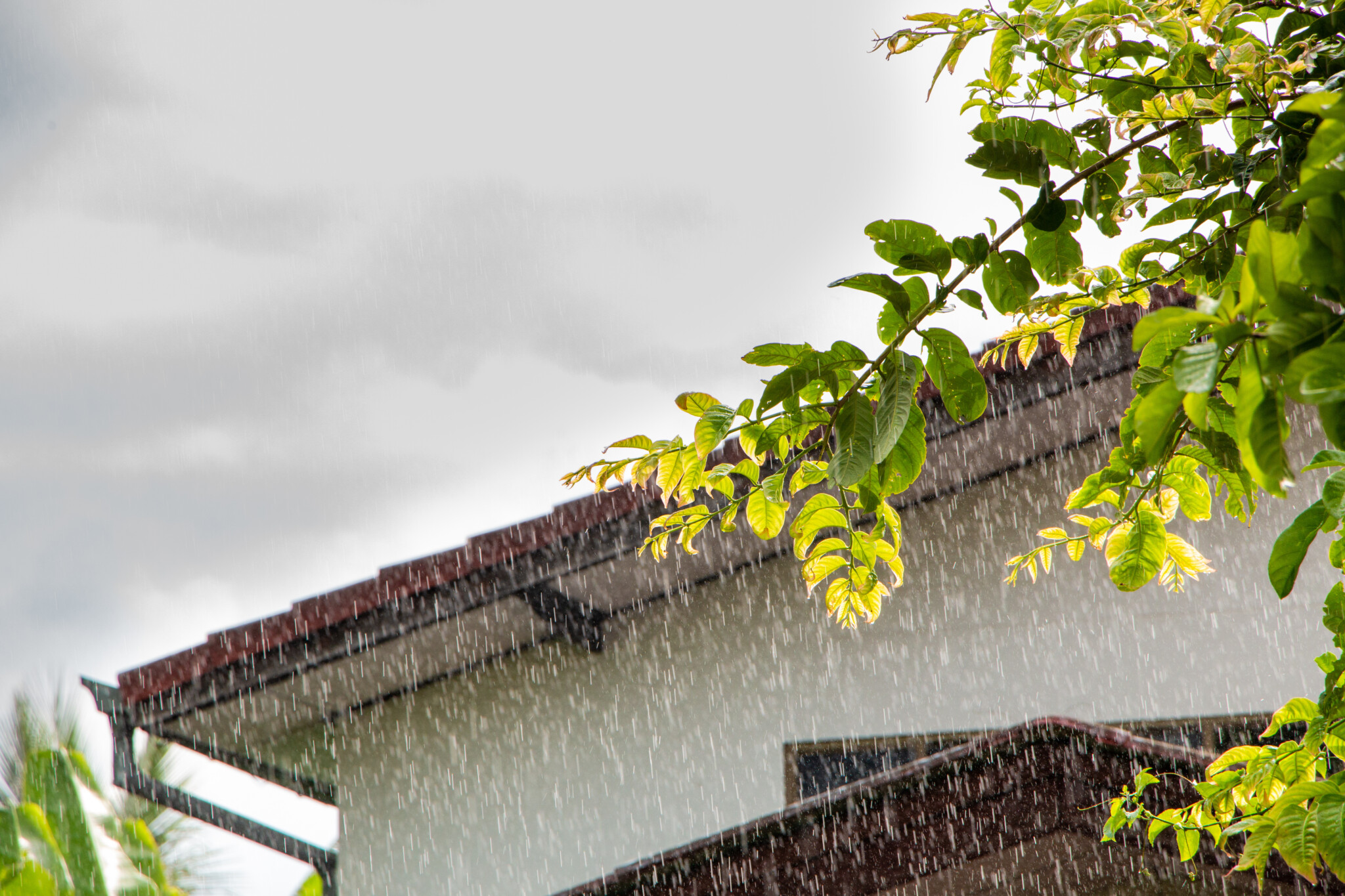 house painting in rainy weather of Australia